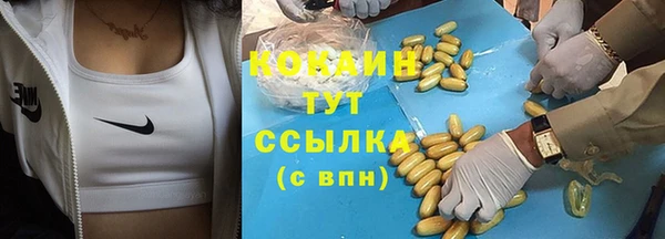PSILOCYBIN Кодинск