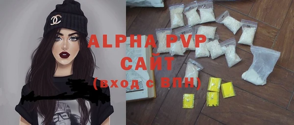 индика Козельск