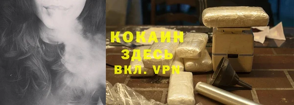 дживик Кинешма