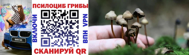 Псилоцибиновые грибы мухоморы  Купить  Луховицы 